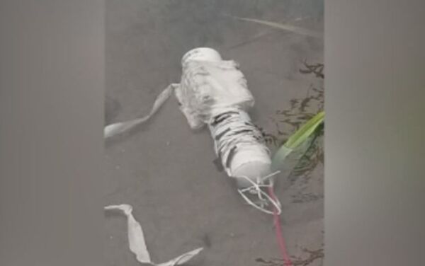 美國加州漁民從河裡捕撈出兩個制爆炸裝置 美國加州漁民從河裡捕撈出兩個制爆炸裝置 - 俄羅斯衛星通訊社