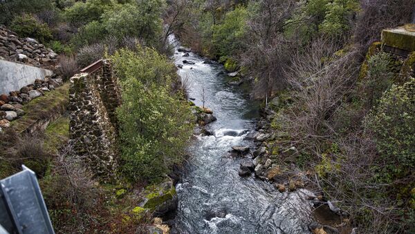 Река Батл-Крик. Калифорния - 俄羅斯衛星通訊社