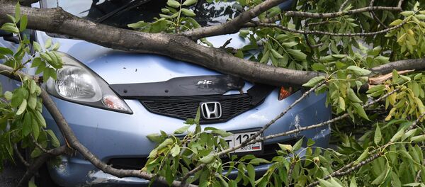 俄濱海邊疆區因颱風“美莎克”或損失265萬美元 - 俄羅斯衛星通訊社