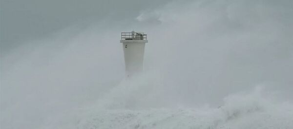 台风“海神”造成日本约40人受伤 - 俄罗斯卫星通讯社