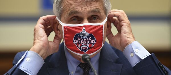 Главный инфекционист США Энтони Фаучи - 俄罗斯卫星通讯社