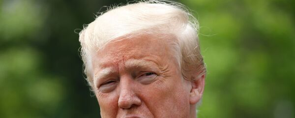 Президент США Дональд Трамп беседует со СМИ на южной лужайке Белого дома в Вашингтоне - 俄罗斯卫星通讯社