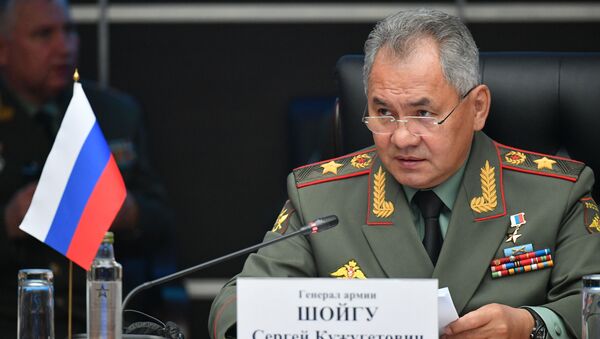 俄国防部长：提升俄中两军协作非常重要 - 俄罗斯卫星通讯社