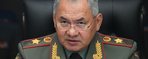 Министр обороны РФ Сергей Шойгу на совместном заседании Министров обороны государств ШОС, СНГ и ОДКБ. - 俄罗斯卫星通讯社