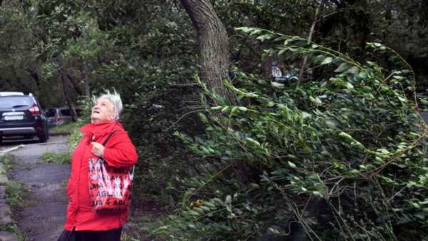 Женщина около поваленных деревьев на Камском переулке после урагана во Владивостоке - 俄罗斯卫星通讯社