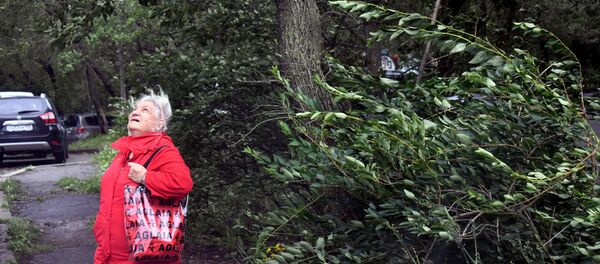 台风“美莎克”致俄滨海边疆区仍有七个居民点断电 台风“美莎克”致俄滨海边疆区仍有七个居民点断电 - 俄罗斯卫星通讯社