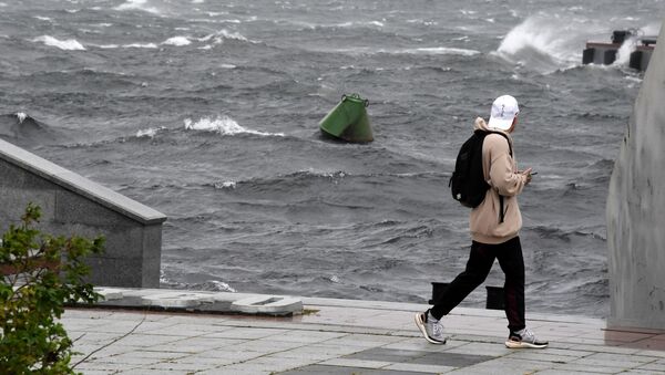 俄滨海边疆区七个地区近2000人受台风影响断电 - 俄罗斯卫星通讯社