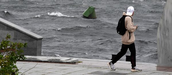 俄滨海边疆区七个地区近2000人受台风影响断电 - 俄罗斯卫星通讯社