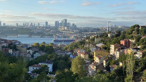 Вид на Стамбул с холма - 俄羅斯衛星通訊社