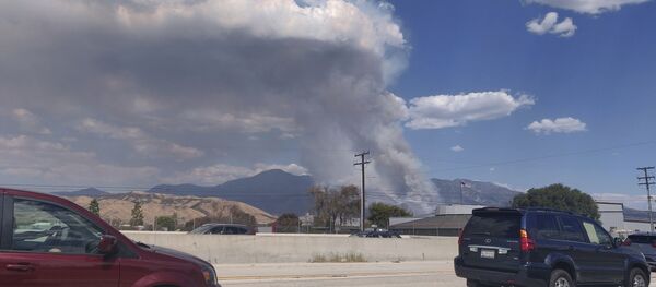美国加州民警卫队从林火区撤出150多人 美国加州民警卫队从林火区撤出150多人 - 俄罗斯卫星通讯社