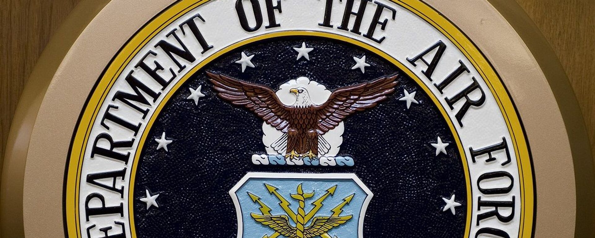 United States Air Force logo - 俄罗斯卫星通讯社, 1920, 03.02.2021