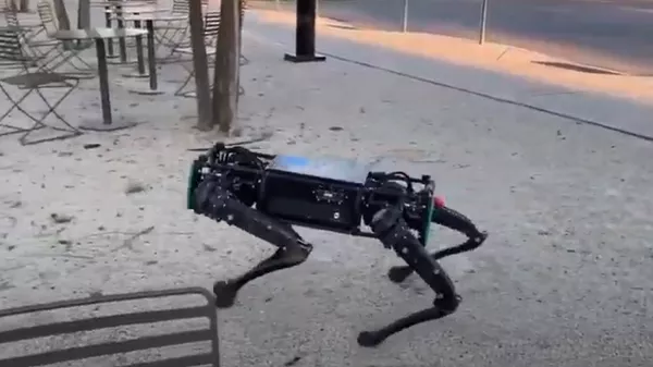 俄羅斯公司推出機器狗服務員，它們可以在有移動物體的空間內辨別反向 - 俄羅斯衛星通訊社
