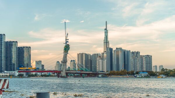 美越关系升级不会动摇中越合作 - 俄罗斯卫星通讯社