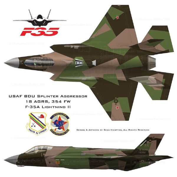 被伪装成俄战机的F-35战机设计涂装发布 - 俄罗斯卫星通讯社