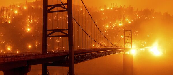 Мост на фоне пылающего леса в Калифорнии - 俄羅斯衛星通訊社