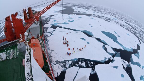 Арктические льды с борта китайского ледокола Xue Long - 俄羅斯衛星通訊社