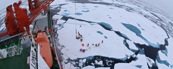 Арктические льды с борта китайского ледокола Xue Long - 俄羅斯衛星通訊社