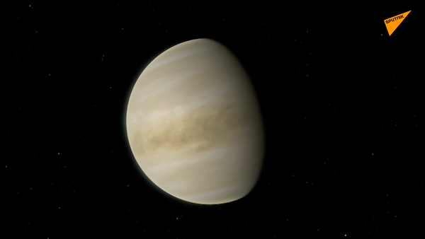 金星上發現生命跡象 - 俄羅斯衛星通訊社