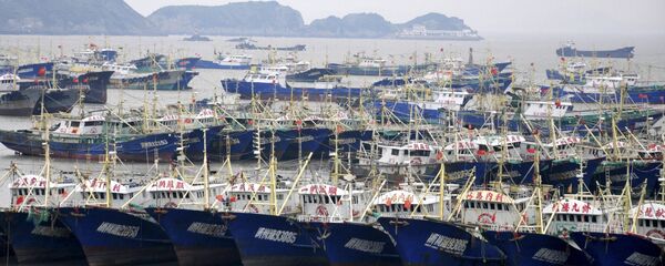 Китайские рыболовные суда Китайские рыболовные суда - 俄羅斯衛星通訊社