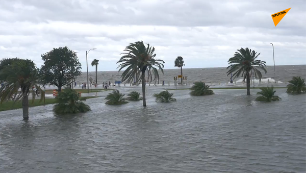 暴风雨前的平静：巨浪淹没新奥尔良的海岸线 - 俄罗斯卫星通讯社