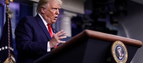 Президент США Дональд Трамп во время пресс-конференции  - 俄罗斯卫星通讯社