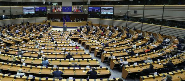 Пленарная сессия Европейского парламента в Брюсселе - 俄罗斯卫星通讯社