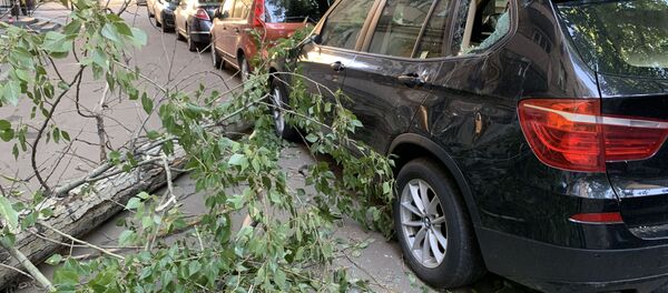 Последствия сильного ветра в Москве - 俄羅斯衛星通訊社