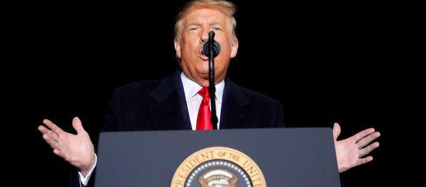 Президент США Дональд Трамп - 俄罗斯卫星通讯社