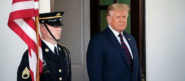 Дональд Трамп - 俄羅斯衛星通訊社