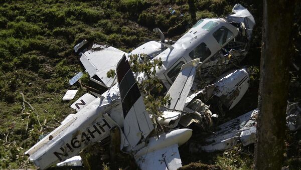美國得州一架輕型飛機墜毀造成4人遇難 - 俄羅斯衛星通訊社