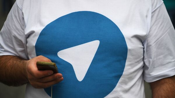  Участник митинга в поддержку мессенджера Telegram  - 俄罗斯卫星通讯社