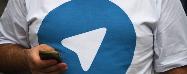  Участник митинга в поддержку мессенджера Telegram  - 俄罗斯卫星通讯社
