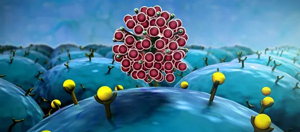 Влияние коронавируса на лимфоциты Влияние коронавируса на лимфоциты - 俄羅斯衛星通訊社