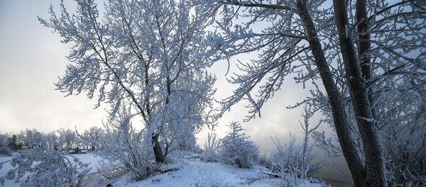 Сильные морозы в Красноярском крае - 俄罗斯卫星通讯社
