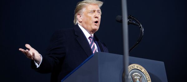 美国总统特朗普 - 俄罗斯卫星通讯社