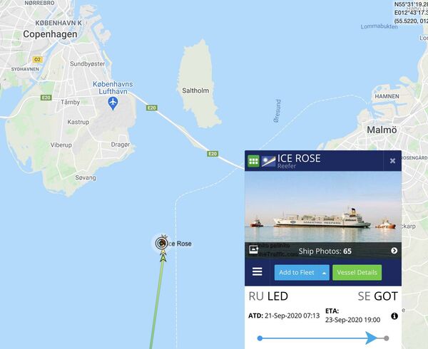 俄波羅的海艦隊：因能見度低一冷藏船與俄軍船相撞 - 俄羅斯衛星通訊社