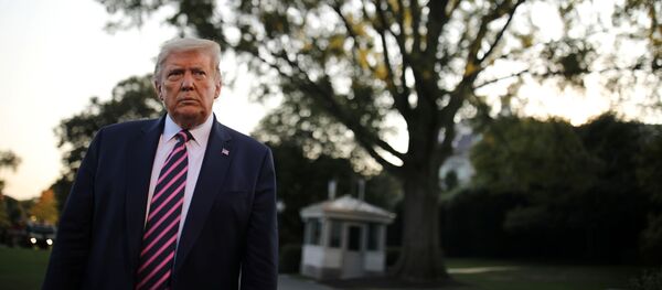 Президент США Дональд Трамп - 俄羅斯衛星通訊社