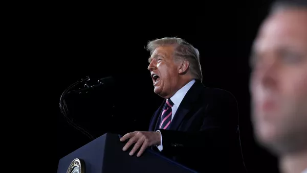Президент США Дональд Трамп - 俄羅斯衛星通訊社