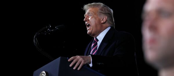 Президент США Дональд Трамп - 俄罗斯卫星通讯社