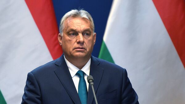 匈牙利總理維克托•奧爾班 - 俄羅斯衛星通訊社