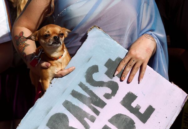 Протестующий несет собаку во время марша London Trans Pride 2020 в Лондоне, Великобритания - 俄羅斯衛星通訊社