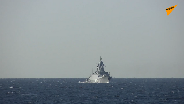 黑海舰队军舰在“高加索-2020”演习期间向空中目标开火 - 俄罗斯卫星通讯社