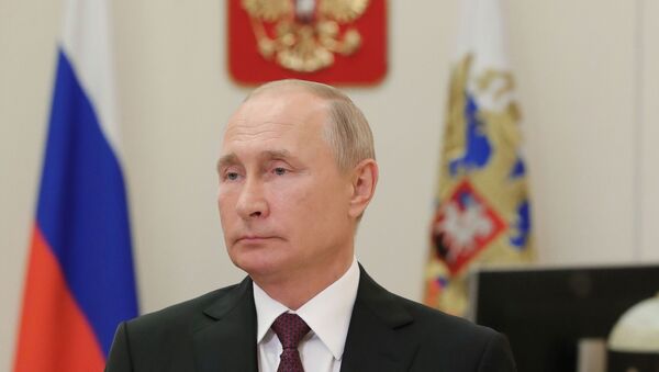 Путин поздравил российских синхронисток - 俄罗斯卫星通讯社