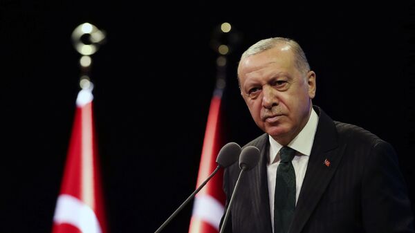 Президент Турции Реджеп Тайип Эрдоган выступает в резиденции президента в Анкаре - 俄羅斯衛星通訊社