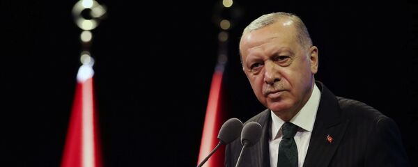 Президент Турции Реджеп Тайип Эрдоган выступает в резиденции президента в Анкаре - 俄罗斯卫星通讯社