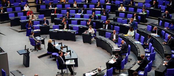 Заседание Бундестага - 俄罗斯卫星通讯社
