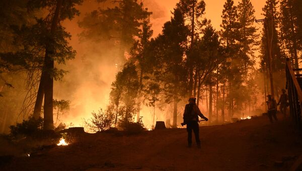 Пожарные на месте лесного пожара в штате Калифорния - 俄罗斯卫星通讯社