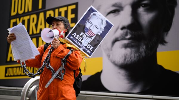 Сторонница Джулиана Ассанжа на митинге против экстрадиции Джулиана Ассанжа в Лондоне, Великобритания - 俄罗斯卫星通讯社