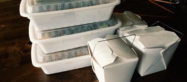 Китайская еда в пластиковой таре - 俄罗斯卫星通讯社