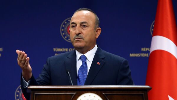 土外長：土耳其與美國和卡塔爾就恢復喀布爾機場航班問題展開合作 - 俄羅斯衛星通訊社